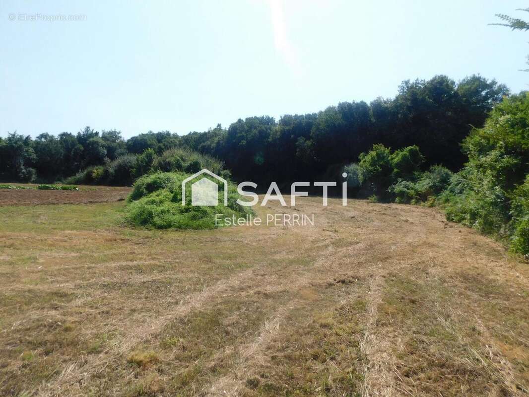 Terrain 1557 m² à Trizay  - photo 6