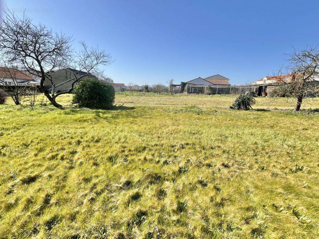 Terrain à PONT-SAINT-MARTIN