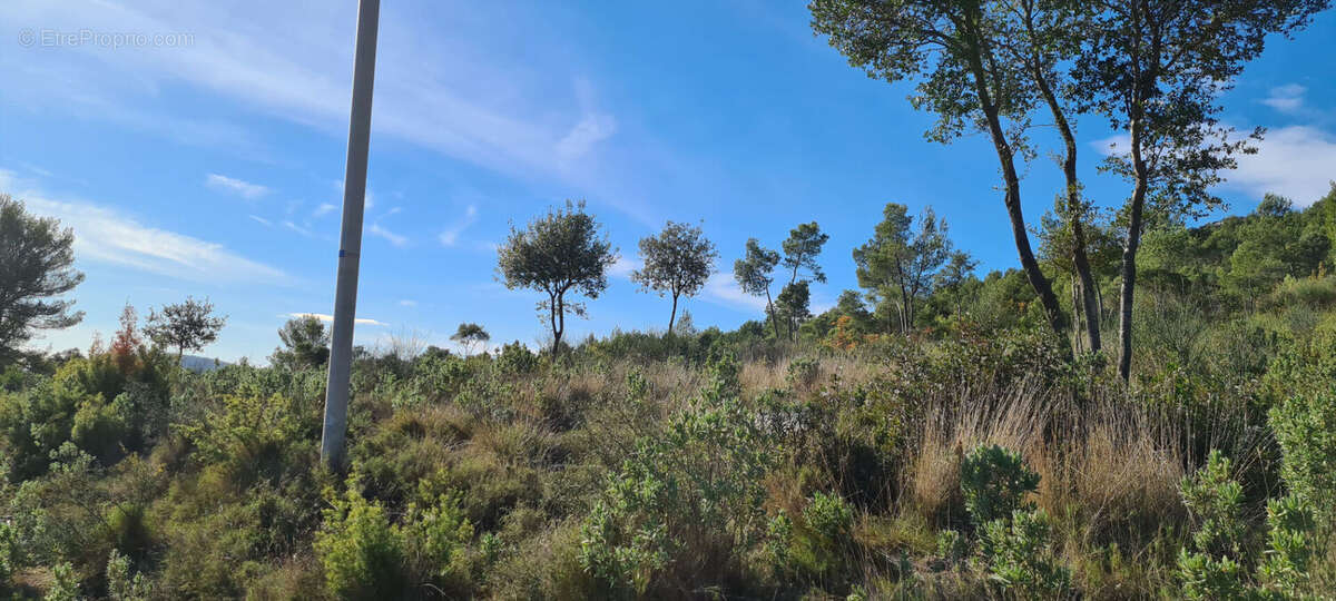 Terrain à CUERS