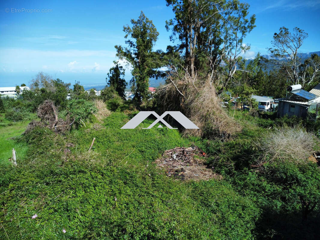 Terrain à SAINT-PIERRE