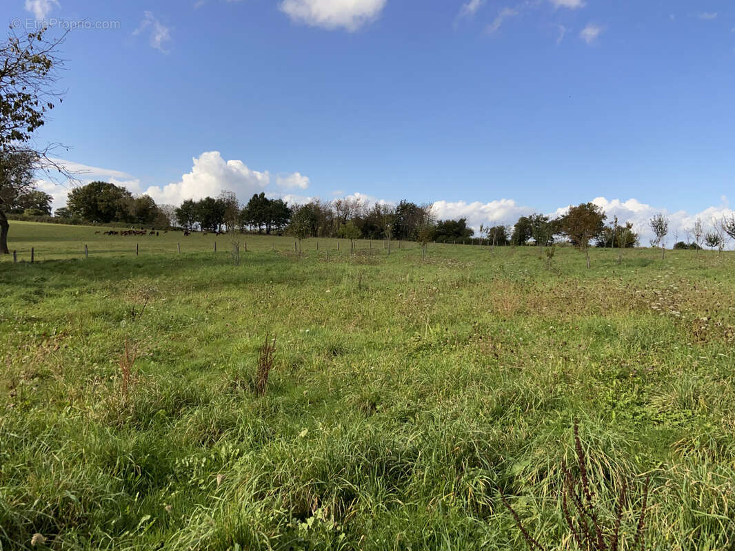 Corps de ferme à rénover sur 1 Ha de terres attenantes. - photo 4