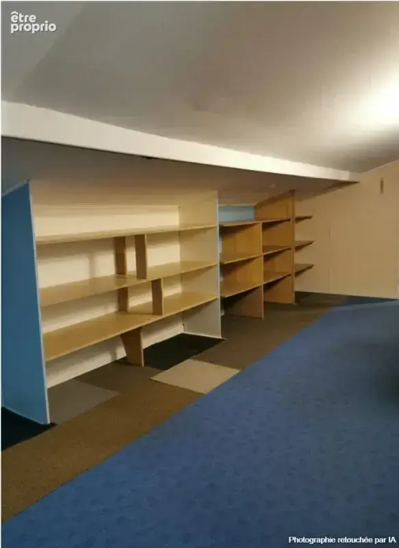 41170, locaux d'activité sur 500m2 avec grand appartement divisible - photo 16