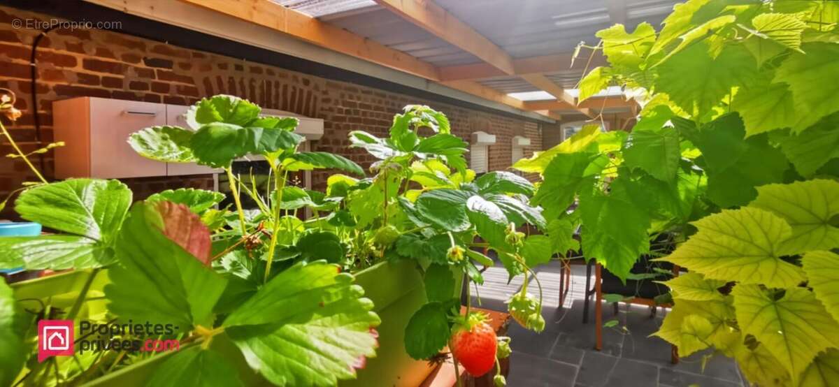 Ensemble immobilier entre Saint Pol sur Ternoise et Frévent - photo 6