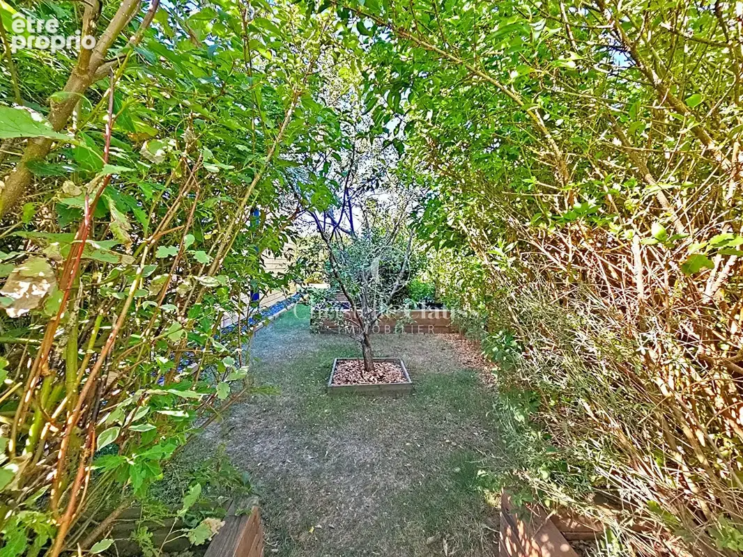Maison Turckheim plein pied - photo 8