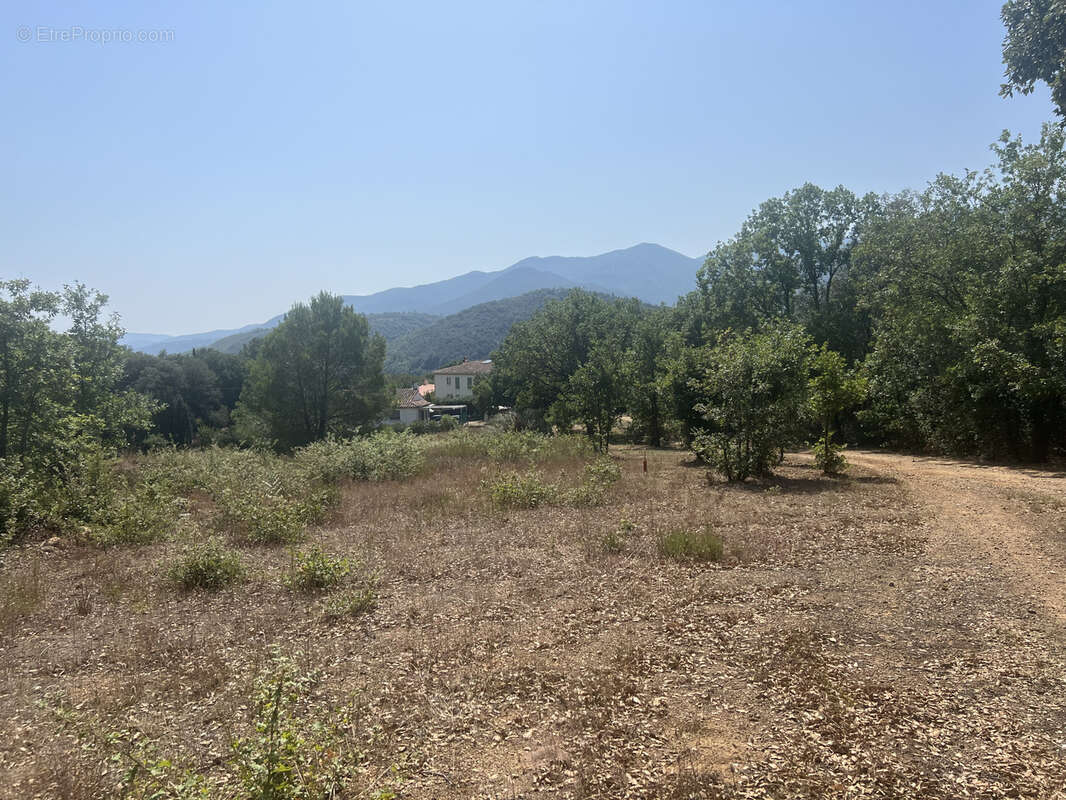 Terrain à REYNES