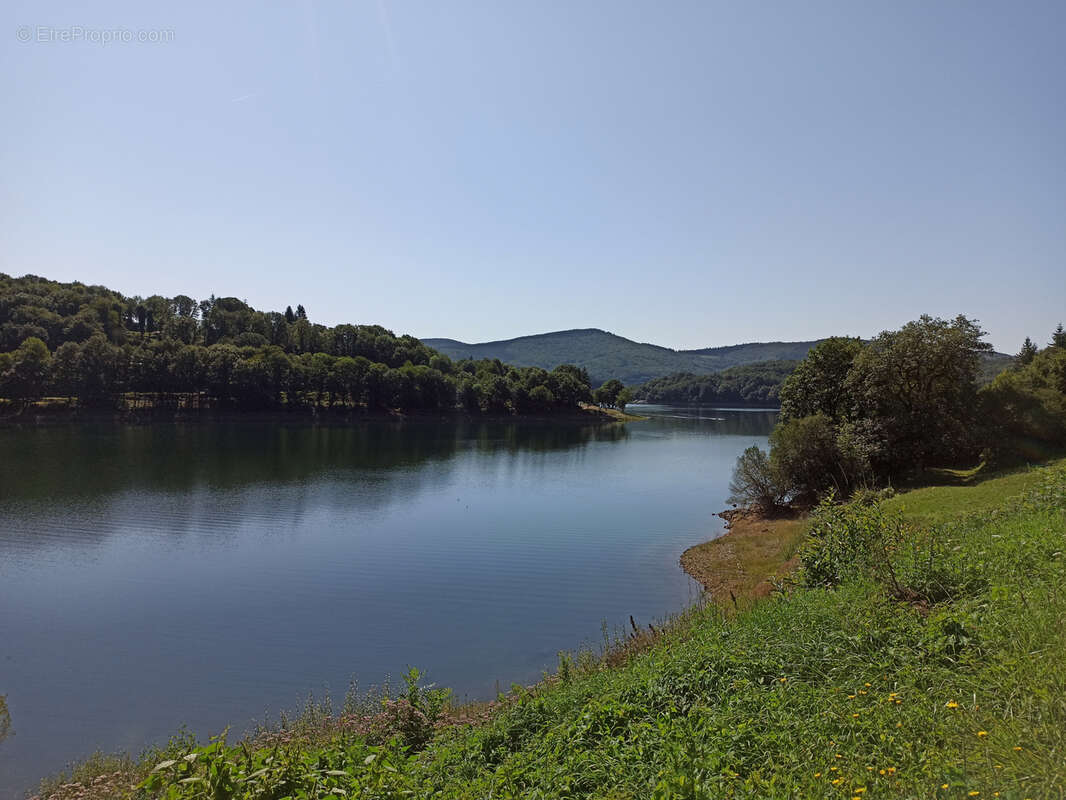 Terrain à LA SALVETAT-SUR-AGOUT