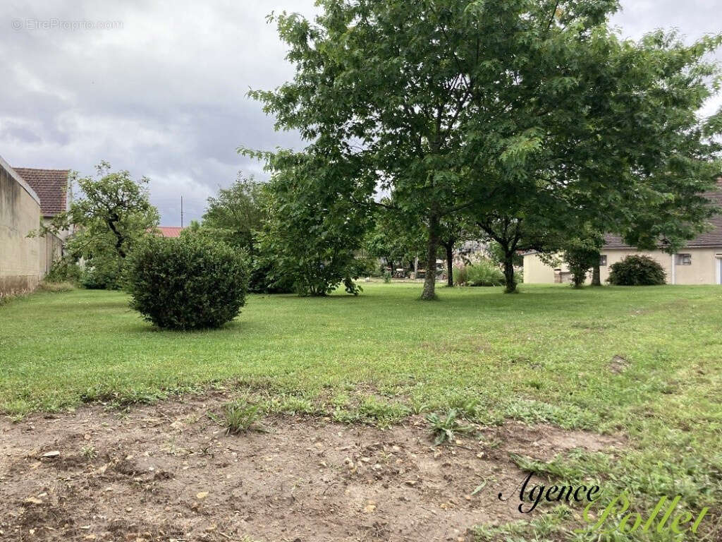 Terrain à AUBIGNY-SUR-NERE