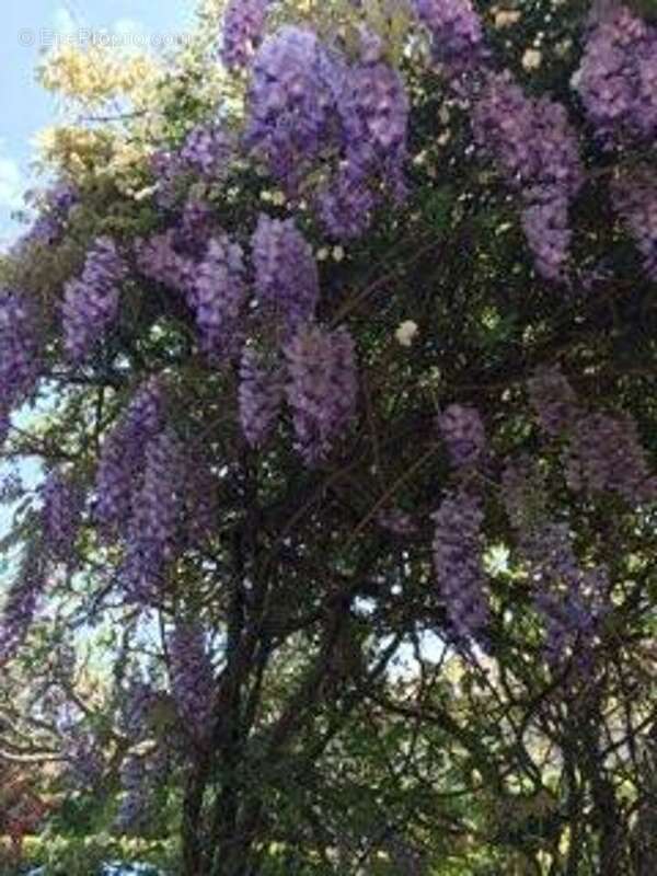 Maison à LES ANGLES