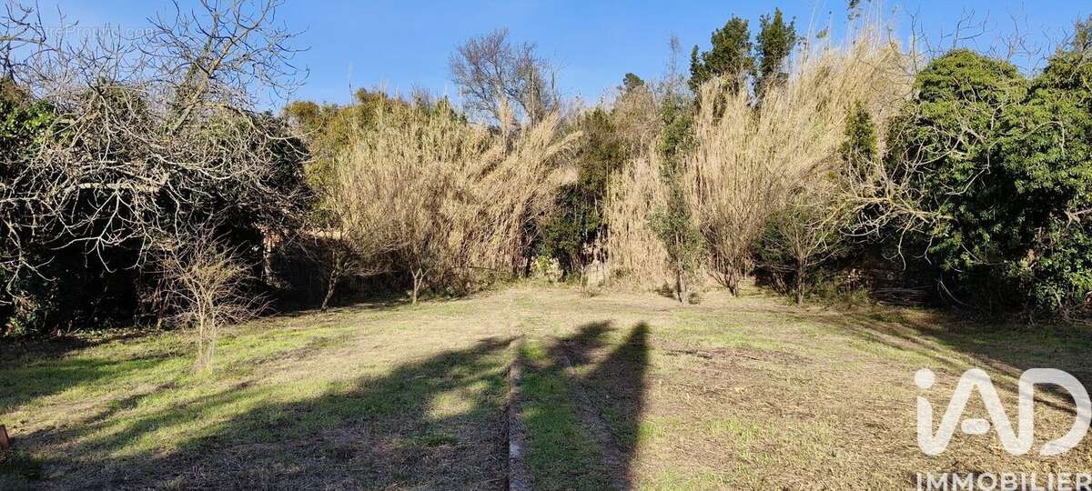 Photo 3 - Terrain à AZILLE