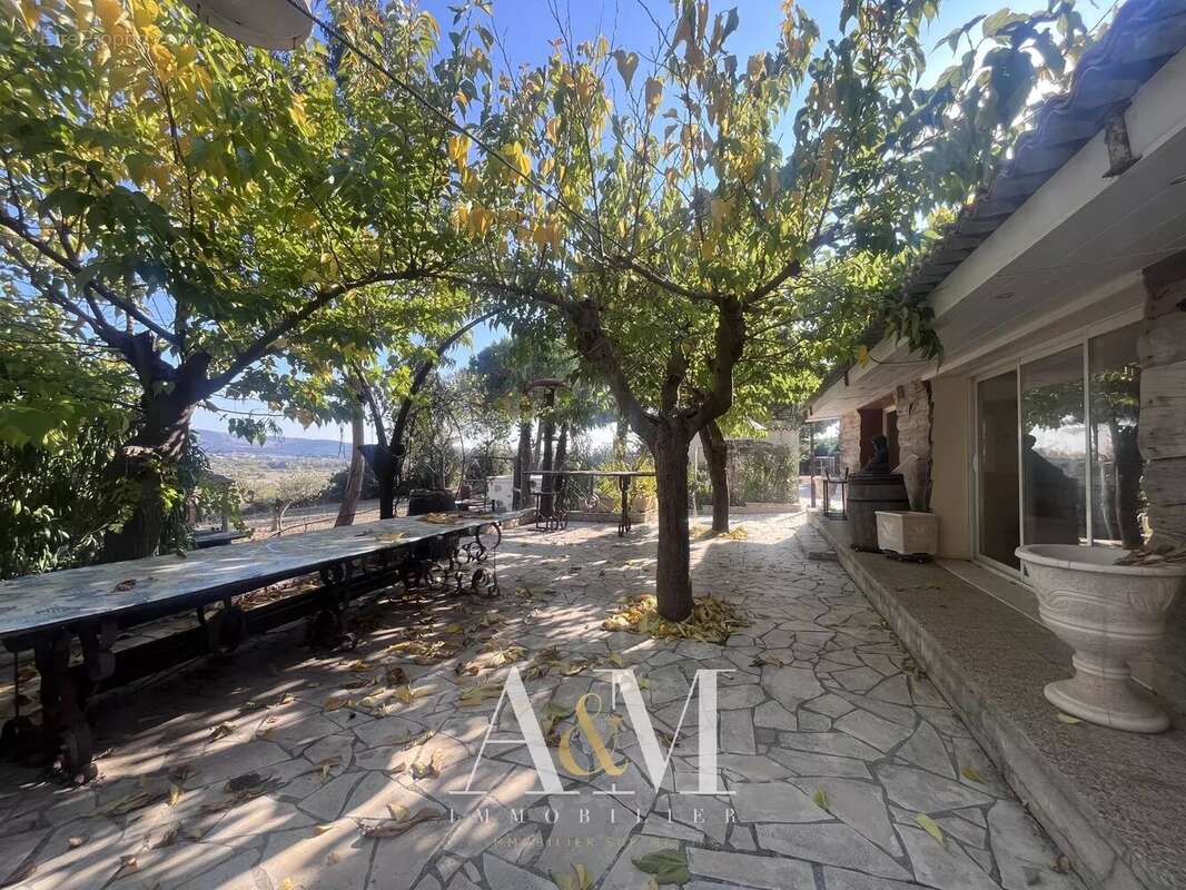 Mas 145 m² / 4262 m² - photo 8