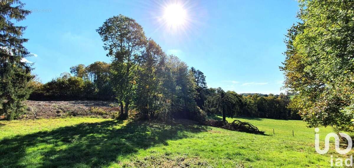 Photo 3 - Terrain à ALBUSSAC