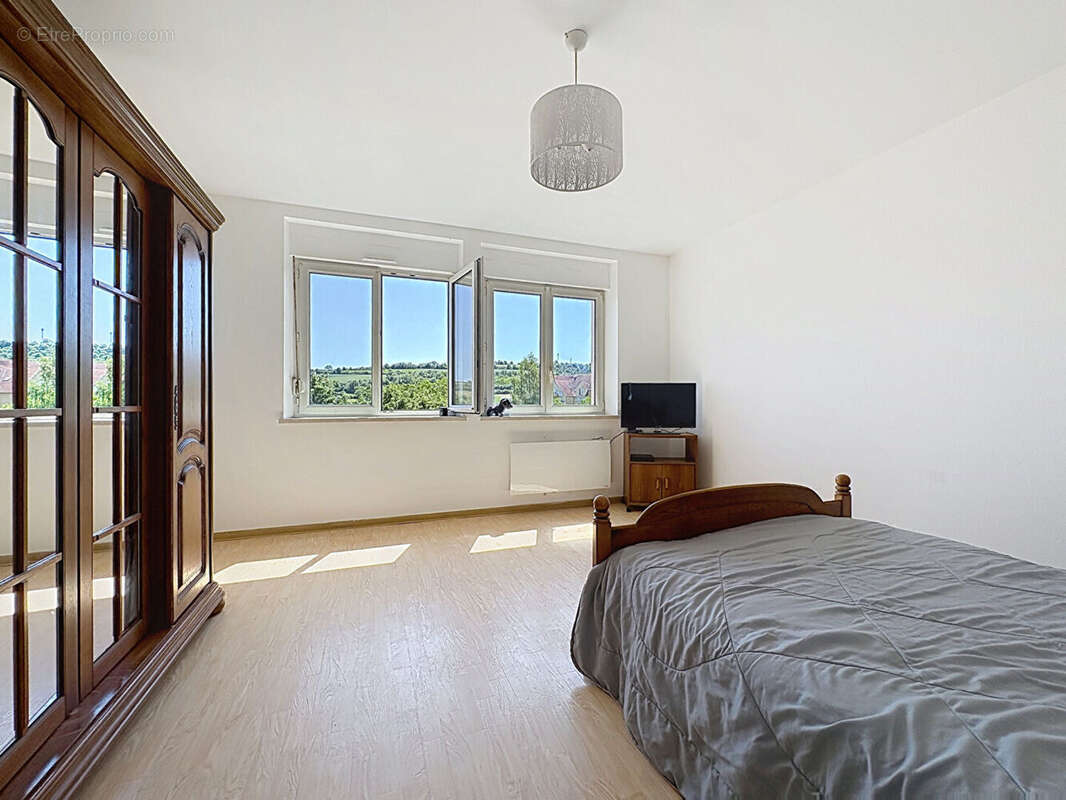Appartement F4 avec terrasse, jardin, garage et parking à Marmoutier - photo 4