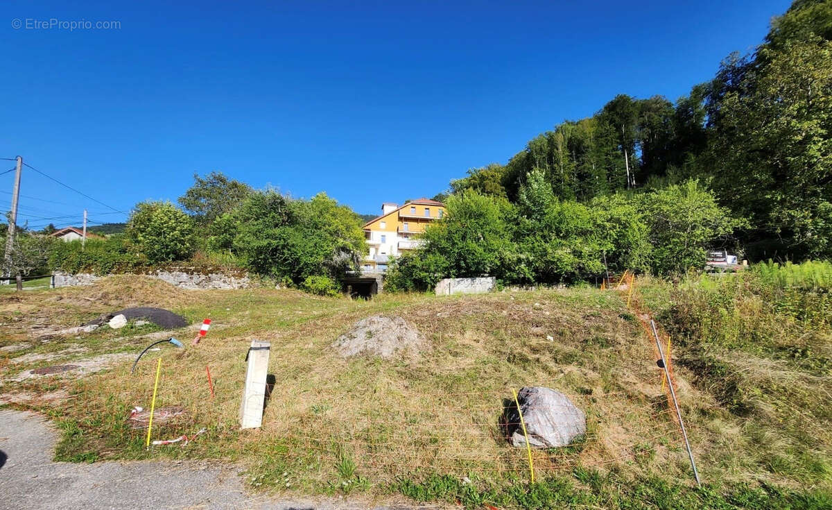 Terrain à VIUZ-EN-SALLAZ