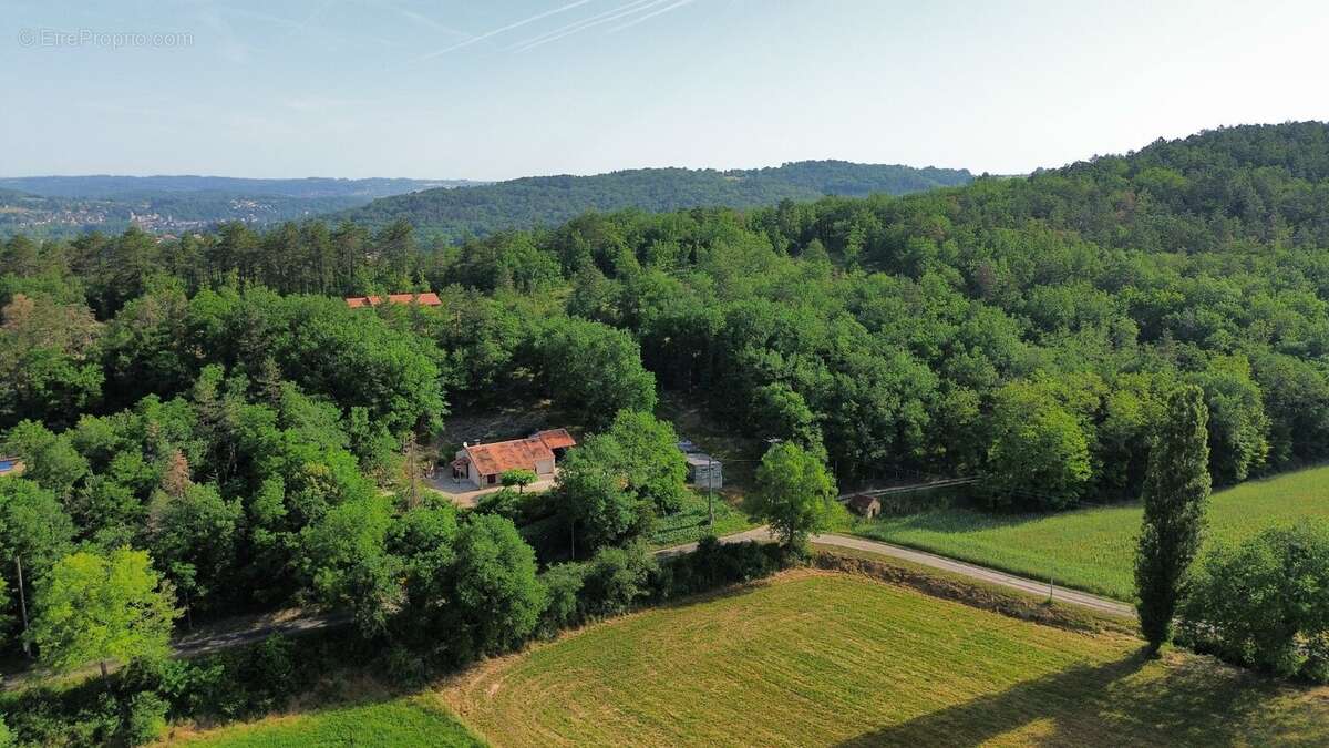 Maison en Vallée Vézère, Périgord. - photo 5