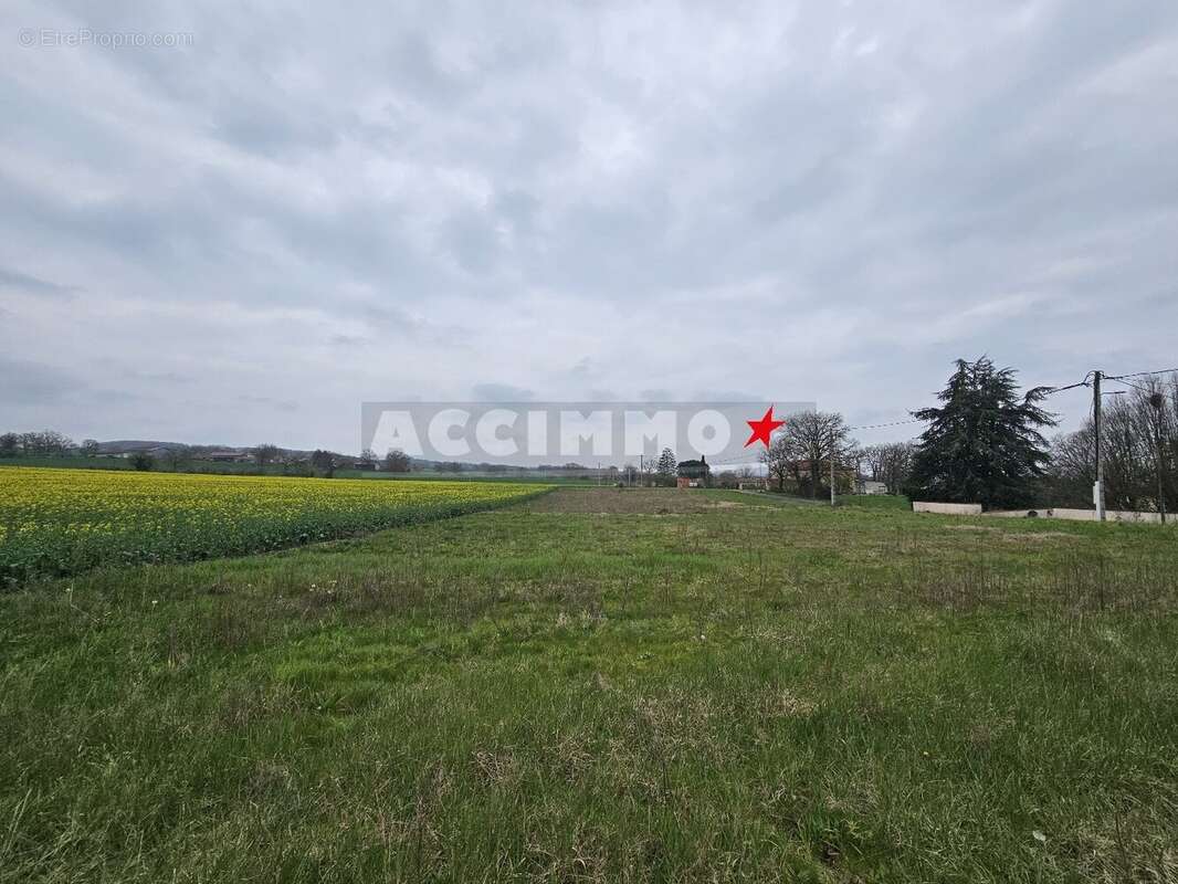 Terrain à MONTDRAGON
