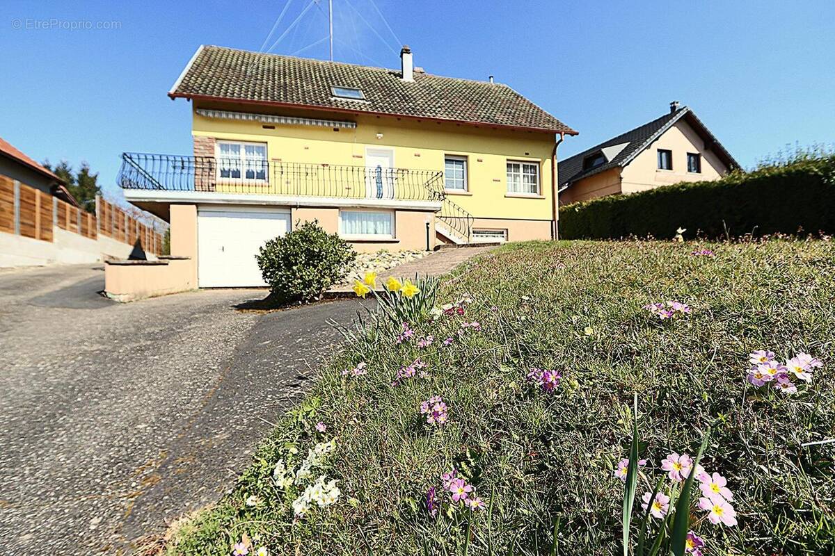 Photo 1 - Maison à PHALSBOURG
