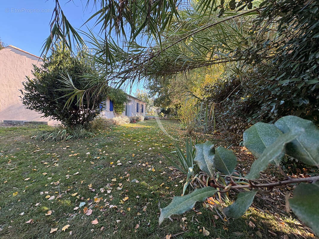 Maison 5 pièces - 3 chambres - LES VELLUIRE SUR VENDEE - photo 10