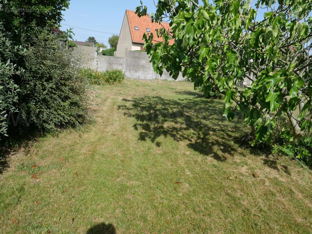 Le crotoy - vue mer - photo 31
