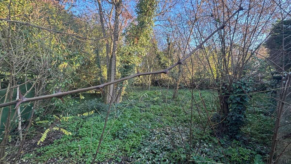 Photo 2 - Terrain à PESSAC