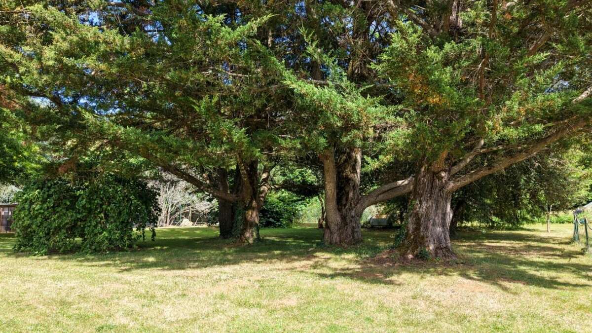 EXCLUSIVITE - Cadre de vie paisible pour cette belle et spacieus - photo 17