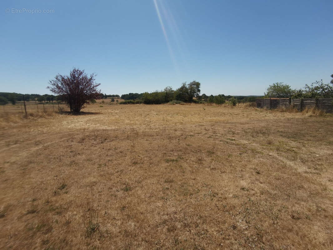 Maison familiale en pierres - 5000m2 de terrain - photo 3