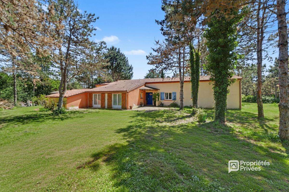 Maison Bessens ( Lapeyrière ) T6 avec piscine sur une parcelle de 5666 m2 - photo 3
