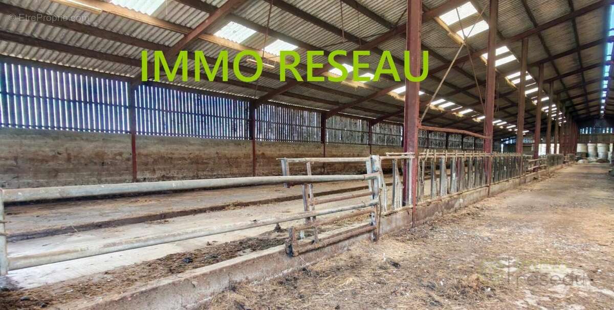 Commerce 5500 m² à Saint-Hilaire-De-Riez  - photo 8