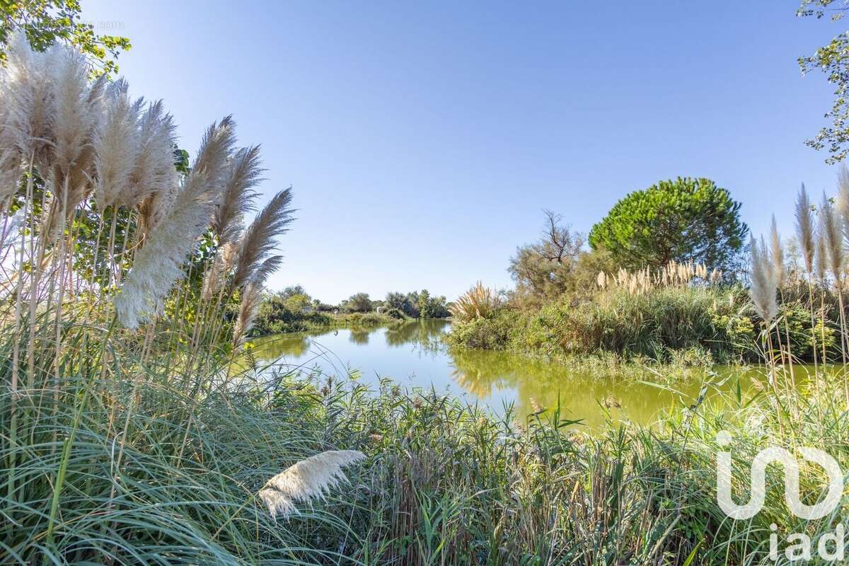 Photo 3 - Maison à SAINTES-MARIES-DE-LA-MER