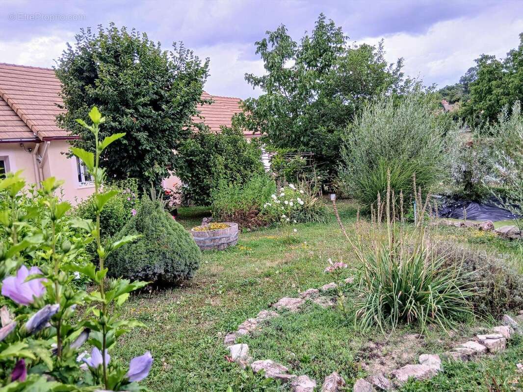 Photo 9 - Maison à CURGY