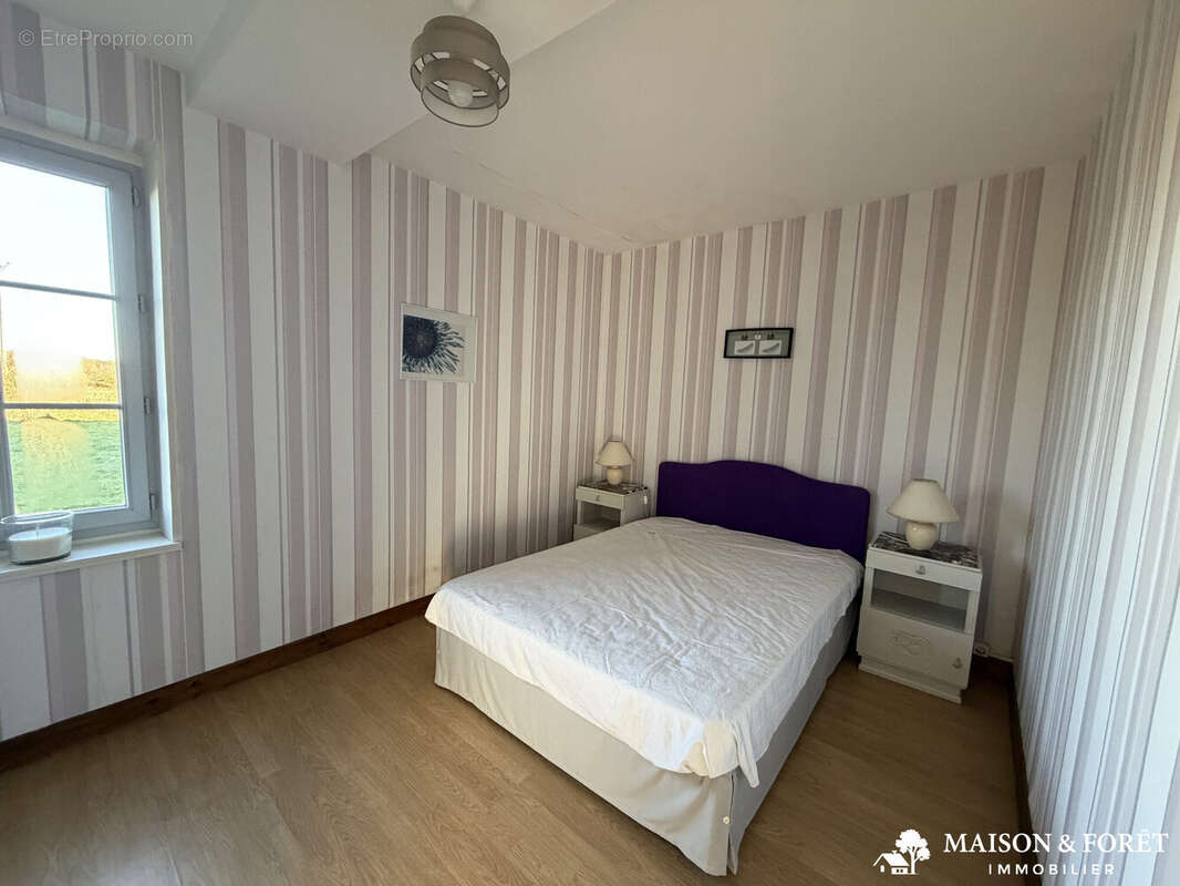 Maison à OUZOUER-SUR-TREZEE