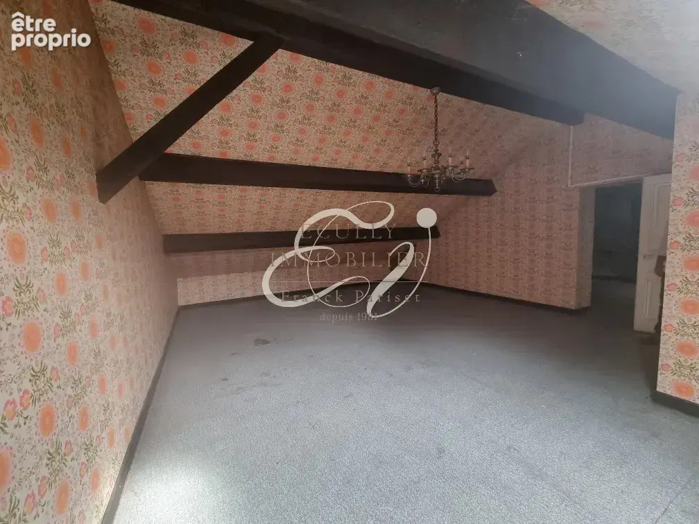 Vente rillieux la pape 69140 - maison de charme 1930 5 chambres avec grand jardin arbore - a renover - potenti - photo 17