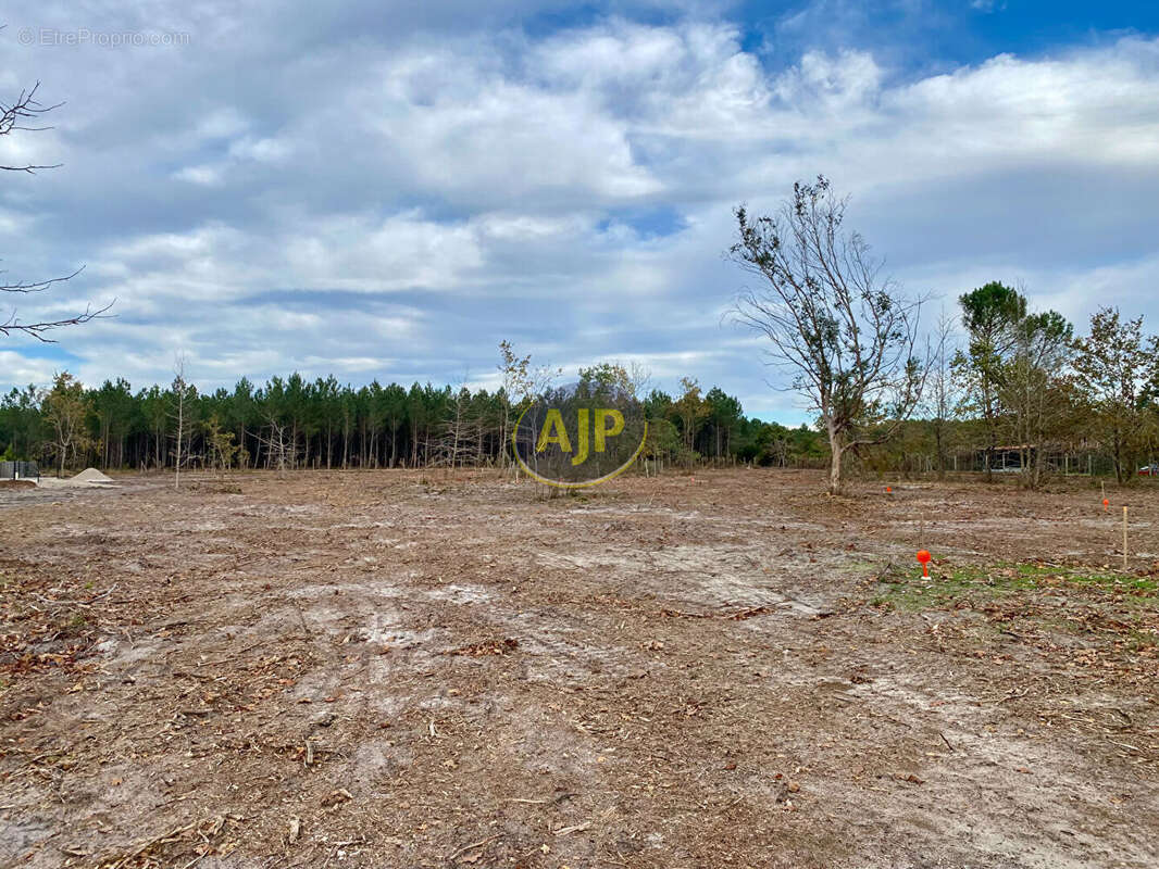 Lotissement de 8 lots /1,5 km du Lac - photo 7