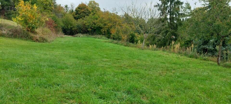 Terrain à VILLECERF