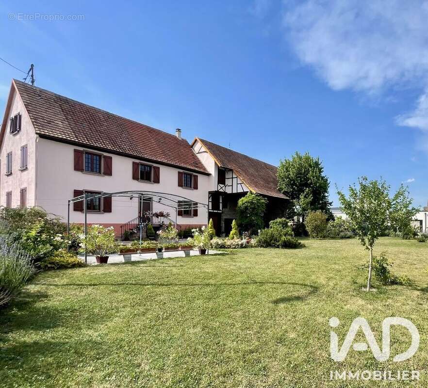 Photo 2 - Maison à HESSENHEIM