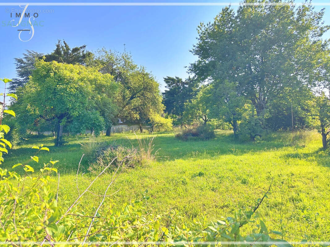 Terrain à SAINT-DENIS-LES-BOURG