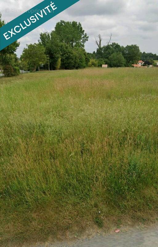 Photo 1 - Terrain à PISANY