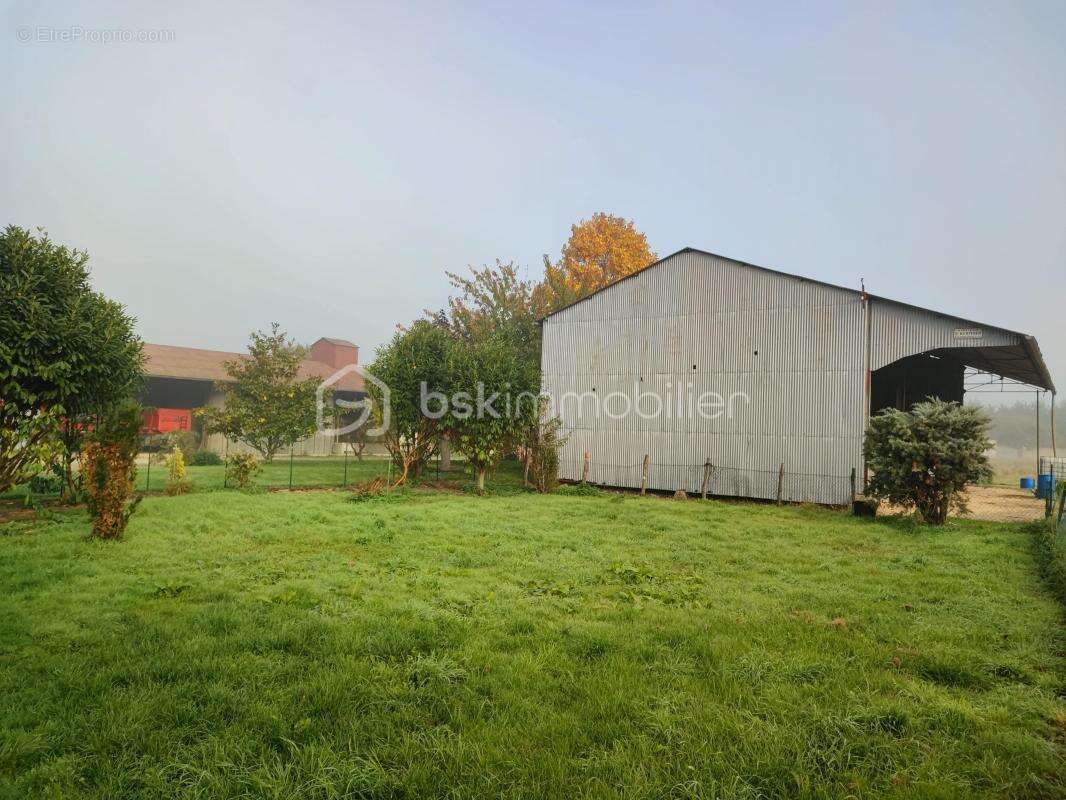 Maison à THORIGNY-SUR-OREUSE