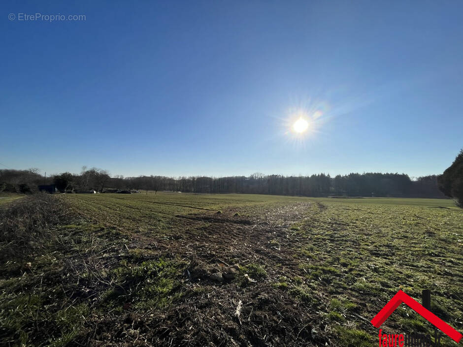 Terrain à VIGNOLS