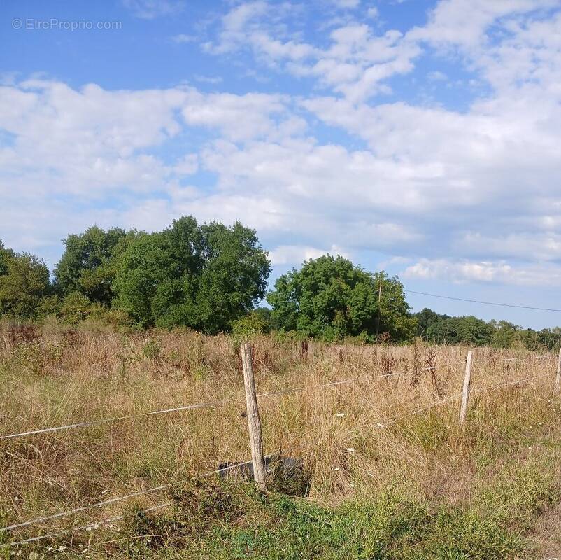 Terrain à RIBERAC