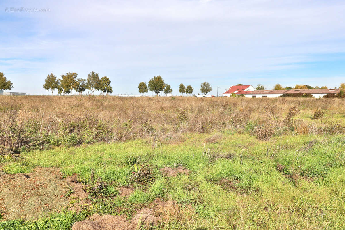 Terrain à LA RIVIERE-DE-CORPS