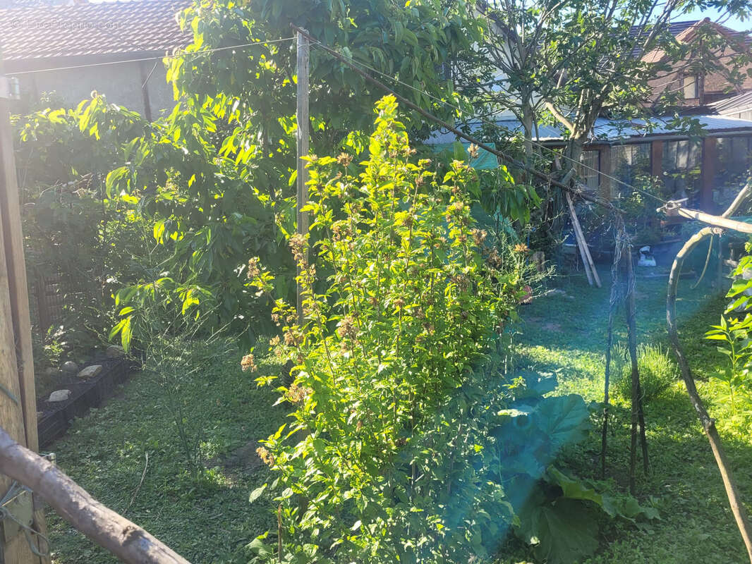 Maison à VILLAGE-NEUF