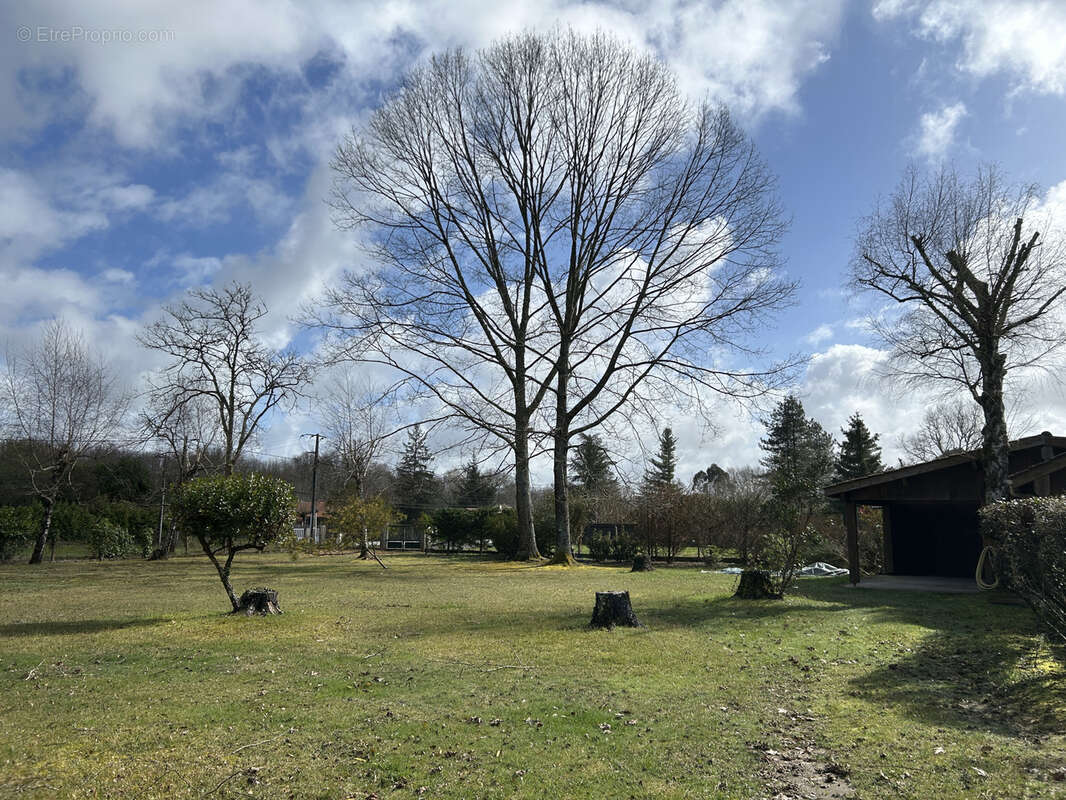 Terrain à BAZAS