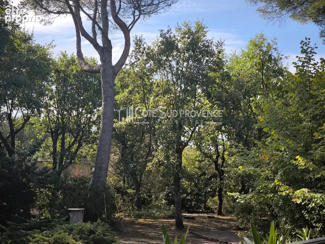 Photo Terrain à Saint-Didier au prix de N/C