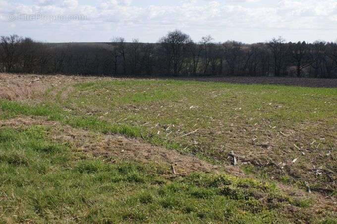 Terrain à TOURNECOUPE
