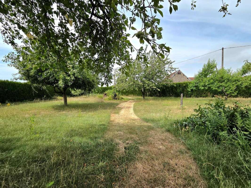 Maison 233 m² à Sormery  - photo 2
