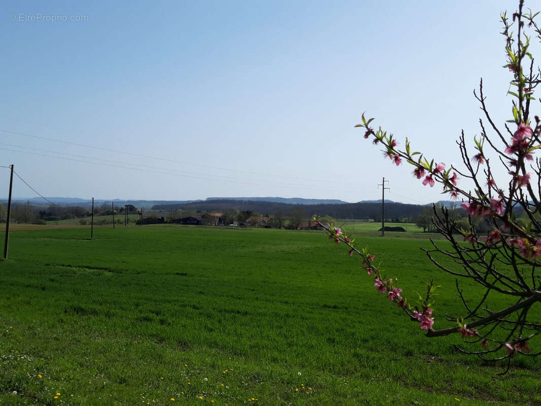 Maison à SAINT-EUTROPE-DE-BORN