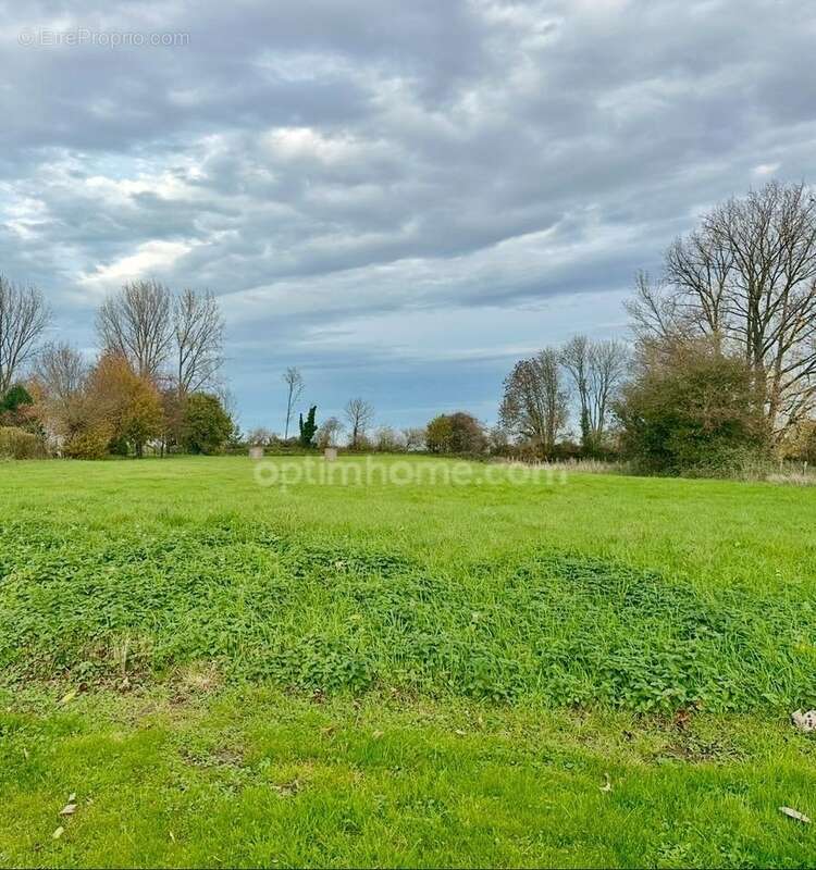 Terrain à vendre de 4 375,00 m² MONCHY BRETON (62) - photo 3