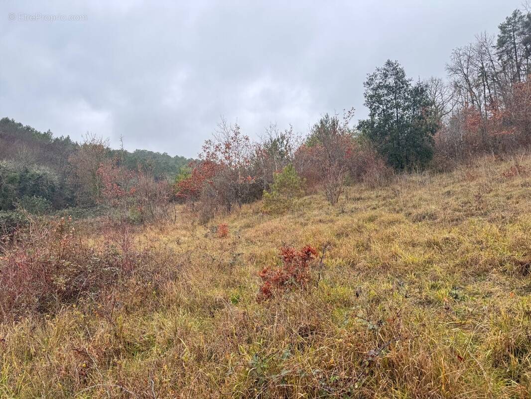 Terrain à TRELISSAC