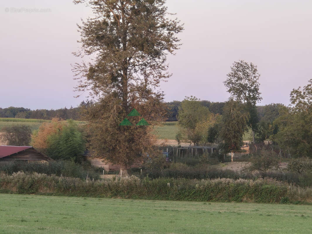 Terrain à VIEUX-FERRETTE