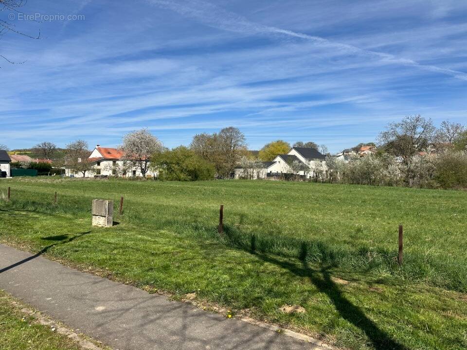 Terrain à WALDWISSE